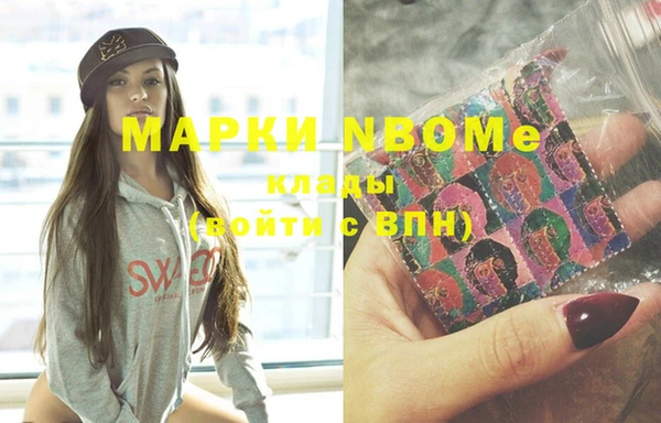хмурый Богородск