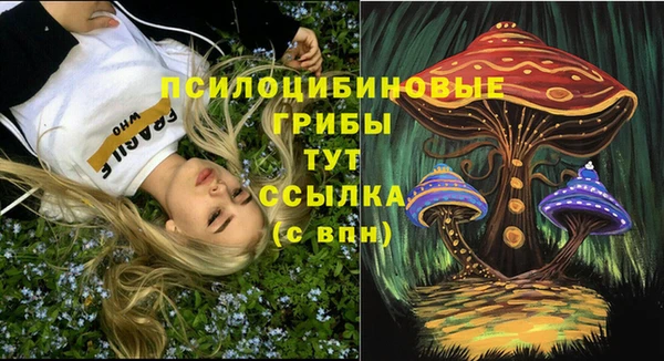 героин Богданович
