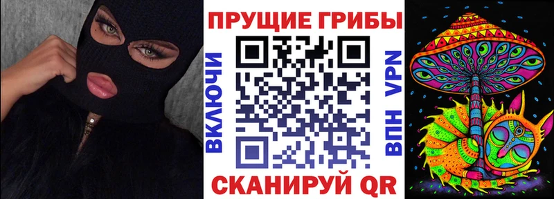 где купить   Гатчина  Галлюциногенные грибы GOLDEN TEACHER 