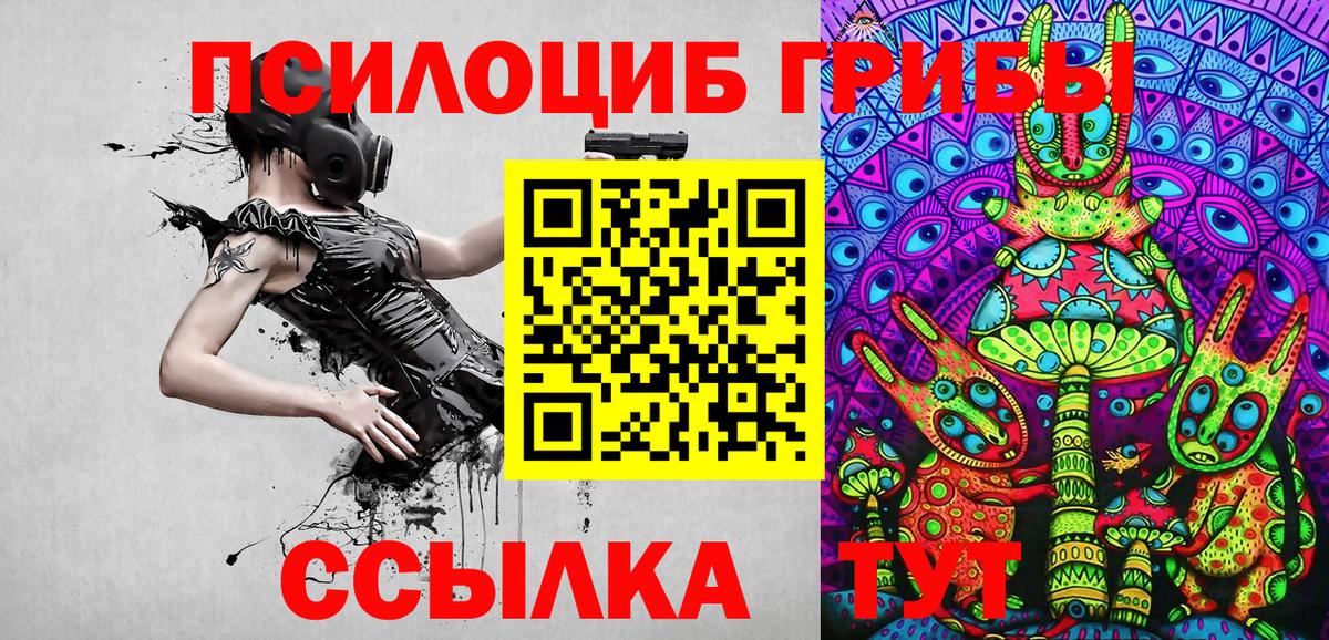 Псилоцибиновые грибы прущие грибы  Псилоцибиновые грибы Psilocybe  наркошоп  Гатчина  Вход с VPN 