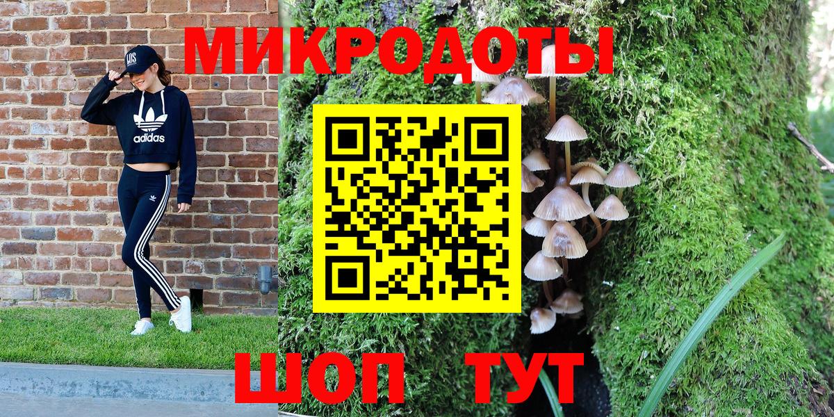 Галлюциногенные грибы Psilocybe Гатчина