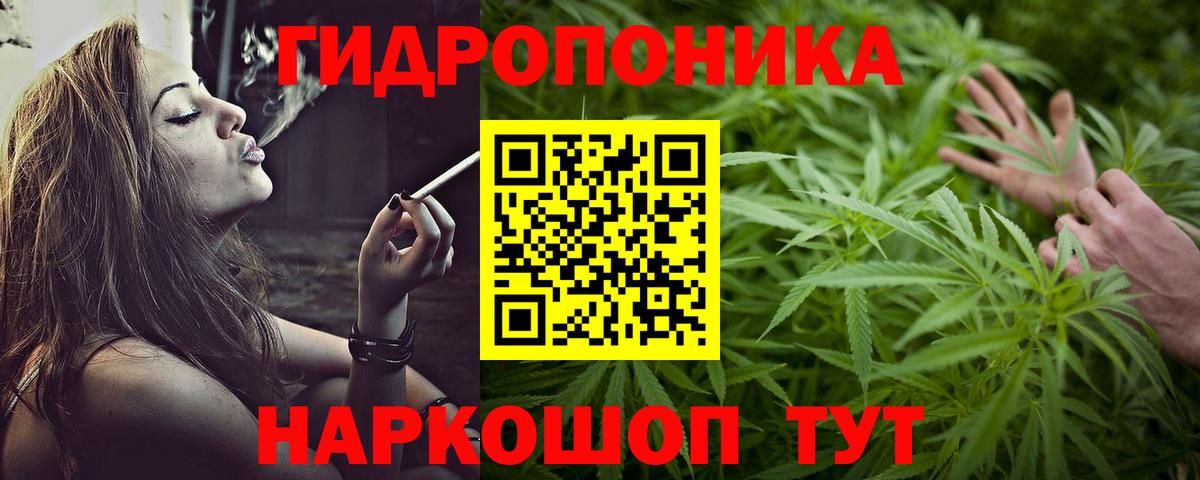 Марихуана Bruce Banner Гатчина